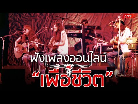 🔴LIVE ฟังเพลงเพื่อชีวิตออนไลน์ คาราบาว , ปู พงษ์สิทธิ์ 🎧ฟังยาวต่อเนื่อง