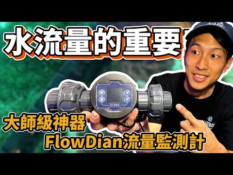 【藍箱水族】水流量的重要性！水族養殖不可不知的知識~FlowDian流量監測計實測給你看！FlowDian stand alone flow meter with temperature sensor