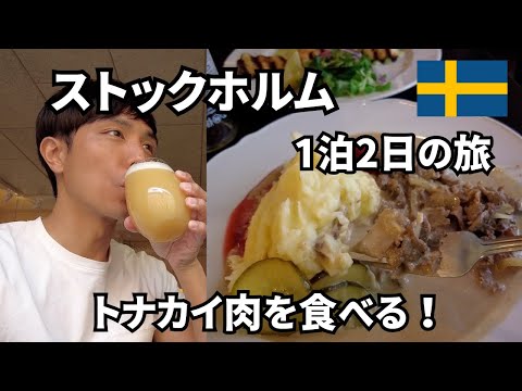 【Stockholm】1 day trip, what to see and eat? Reindeer meat?!