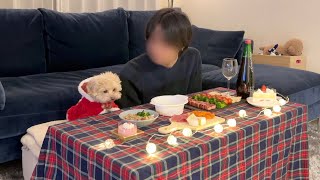 犬としか過ごさなくなった独身男のおうちクリスマス【トイプードル】