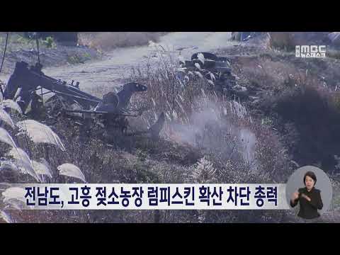 전남도, 고흥 젖소농장 럼피스킨 확산 차단 총력 (241225수/뉴스데스크)