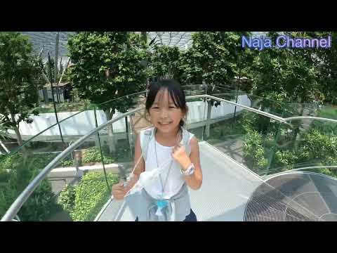 Naja Channel Ep.30 ตะลุย Singapore day 5 (Gwell park)