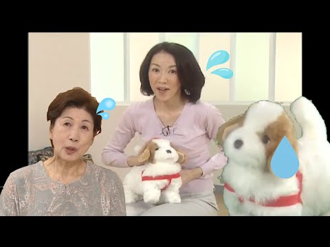 もしも愛犬ロボてつのＣＭの出演者が全員緊張していたら