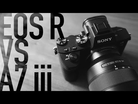 Canon EOS R vs Sony A7iii - Canon User Tries A7iii