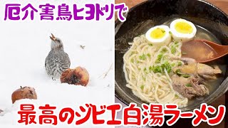 厄介害鳥ヒヨドリで、最高のジビエ白湯ラーメン