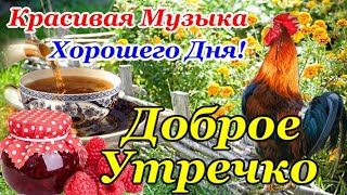 С Добрым Утром! Прекрасного Дня! Самая Красивая Открытка Доброе Утро с Чудесной Музыкой!