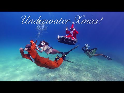 Underwater Christmas in Nakayukui | #クリスマス #スキンダイビング #沖縄 #ナカユクイ