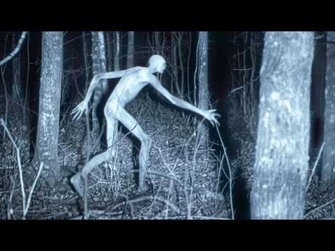 Disturbing Creatures Caught On Trail Cams In 2024