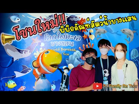 โซนใหม่!!พิพิธภัณฑ์สัตว์น้ำบางแสน | ศูนย์เรียนรู้โลกใต้ทะเล🦈🐠🐟