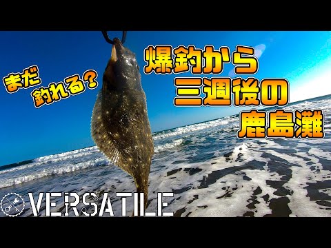 鹿島灘サーフはまだ釣れるのか？3週後に行ってみた