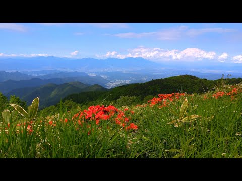 休憩室：お散歩／ビーナスライン（長野県）