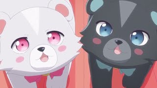 Kuma Kuma Kuma Bear Kumayuru and Kumakyuu Episode Highlights