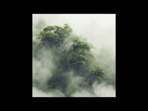 Hirotaka Shirotsubaki || A Seasons Past (2018) Full Album