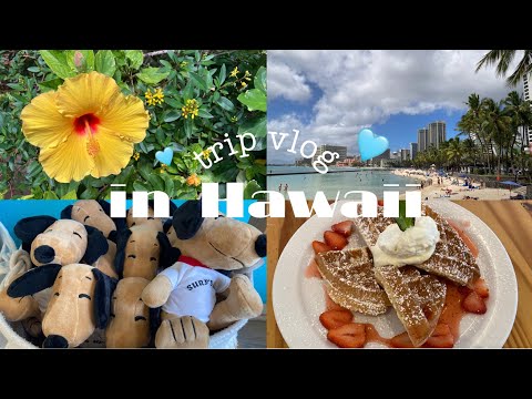 【trip vlog】2年越しのハワイ旅行が最高すぎた🧸🏖️(後編)