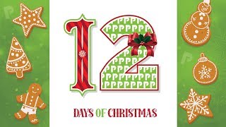 12 Days of Christmas │ A Priority Marketing Christmas Special