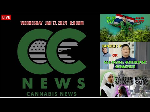 Cannabis News Update – Thailand Cannabis Politics, Illegal Maine Chinese Grow, and Weed Nuns RULE!