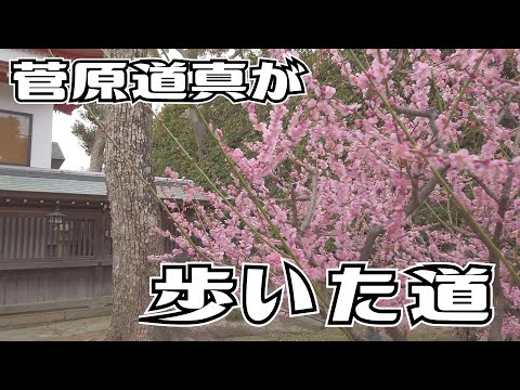 ぶらり #117 【西国街道】和田岬～塩屋【神戸市】