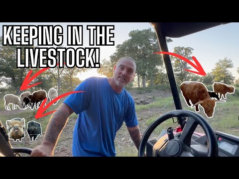 Checking Fences & Ranch Talk! Dead Trees & Massive Rocks on the Farm!