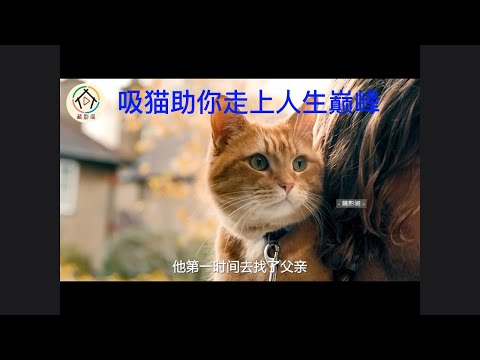 《流浪猫鲍勃》