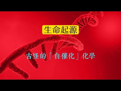 生命起源的底層謎團：古怪的「自催化」化學