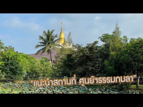 ศูนย์วิปัสสนากรรมฐานธรรมกมลา จ.ปราจีนบุรี | อาจารย์โกเอ็นก้า | Ying's Lively