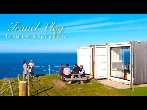 Scottish cute seaside country cafe & shop| Day trip to small coastal village with spring flowers, UK