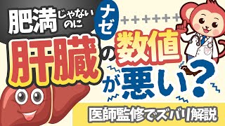 【実例検証】あなた、肝臓、大丈夫？