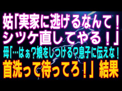 【スカッとする話】姑「実家に逃げるなんて！シツケ直してやる！」母「…はぁ？娘をしつける？息子に伝えな！首洗って待ってろ！」結果