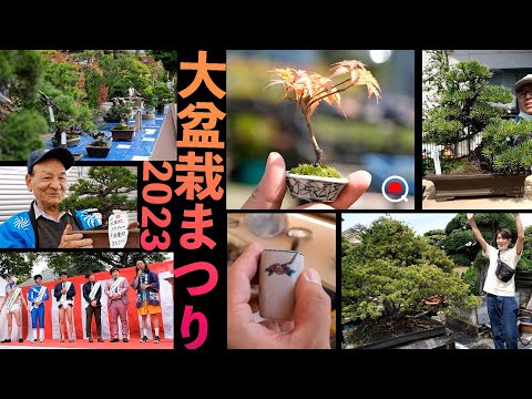 [2023] The biggest festival in the bonsai world! Omiya University Bonsai Festival [Bonsai Q]