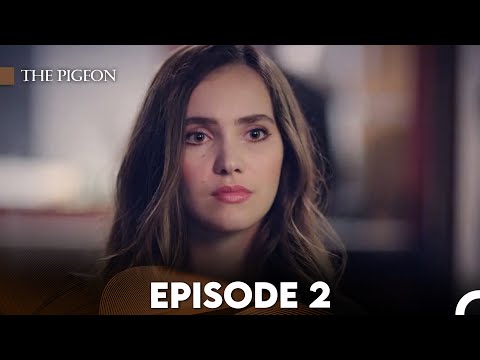 The Pigeon Episode 2 (FULL HD)