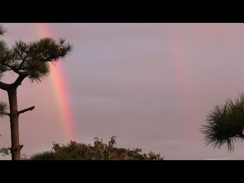 今日の雲【2024年9月15日】