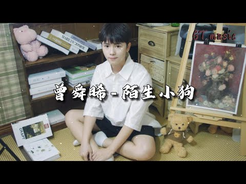 曾舜晞 - 陌生小狗『我愿意为伱扮作陌生的小狗，不需要难受 原谅当初所有荒唐借口。』【动态歌词MV】