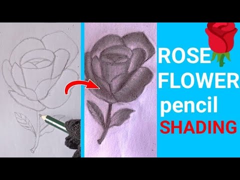 Rose Flower Pencil Drawing 🌹(part 2)