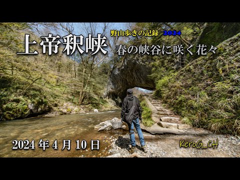 【上帝釈峡－春の峡谷に咲く花々－】野山歩きの記録2024