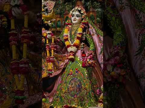 Il Radha Rani ll #mayapuriskconmandir #iskcon #viral reels