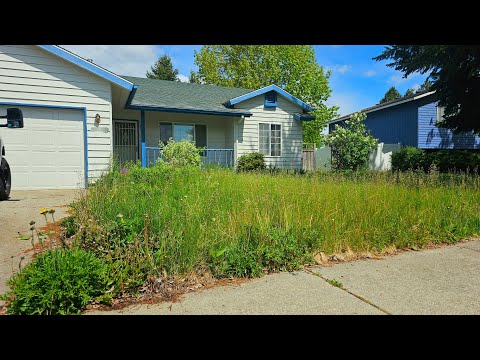 Neighbor Has Been LAUGHING & STARING At His Overgrown Yard For MONTHS