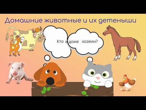 Учим домашних животных. Домашние животные и их детеныши. Развивающий мультик