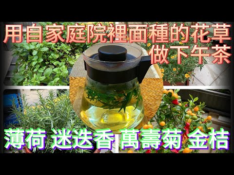 採收自家庭院的盆栽製作的花草茶與金桔醬