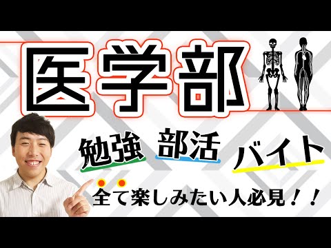 【医学部】医学部ってどんなところ？現役千葉大医学部生に聞いてみた！