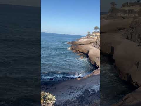 🏝️ Morning view 🏝️ Costa Adeje| Tenerife #tenerife #costaadejе #canaryislands