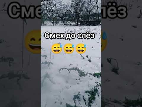 #юмор #аллодыонлайн #2025 #прикол #рекомендации #смех #prank #music