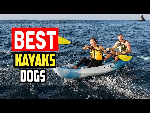 ✅Top 5 Best Kayaks for Dogs in 2024