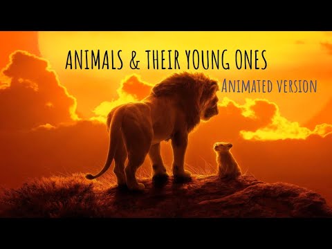 Animals and Young ones | Learn animal names | Kids educational video