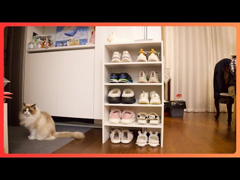 DIY迷你鞋柜｜DIY mini shoe cabinet｜20241130