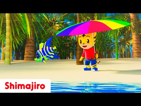 Colors of life! | Learn colors with Shimajiro | Kids songs & Nursery Rhymes