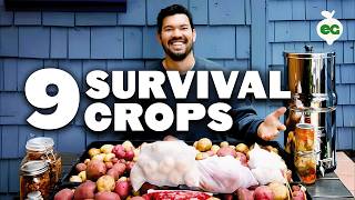 9 Survival Gardening Crops to Grow in a Post Apocalyptic World