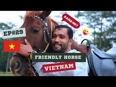 My HORSE RIDING Experience in Vietnam!!!