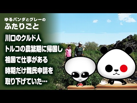 ふたりごと「川口のクルド人、トルコの農繁期に帰国していることが判明！祖国で仕事がある時期だけ難民申請を取り下げていた…」