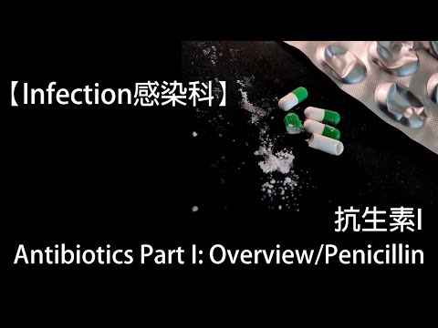 【Infection感染科】Antibiotics Part I:Overview/Penicillin 抗生素I