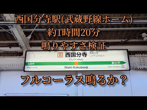 【フルコーラス鳴るか？】　西国分寺駅(武蔵野線ホーム)で約1時間20分鳴りやすさ検証してみた結果 第26弾